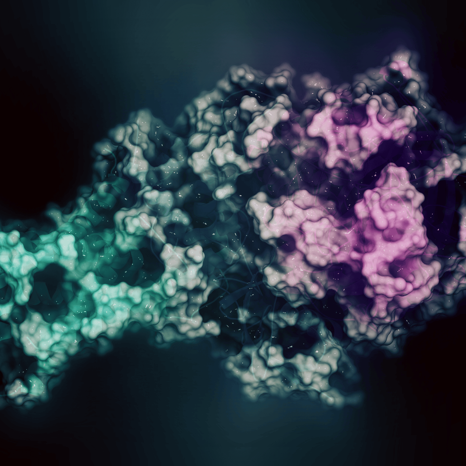 Image supporting peptide therapy