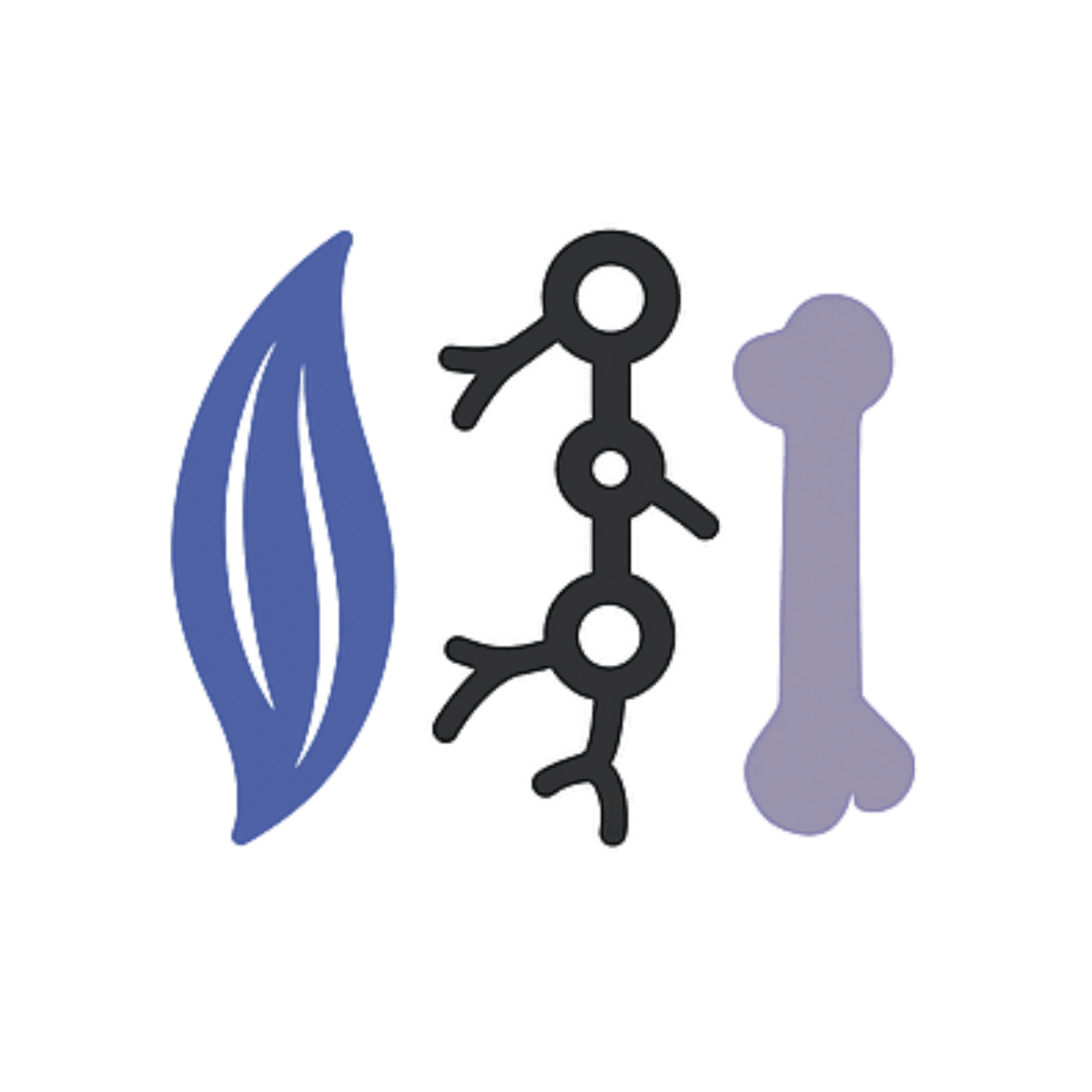Icons imaging tissue repair
